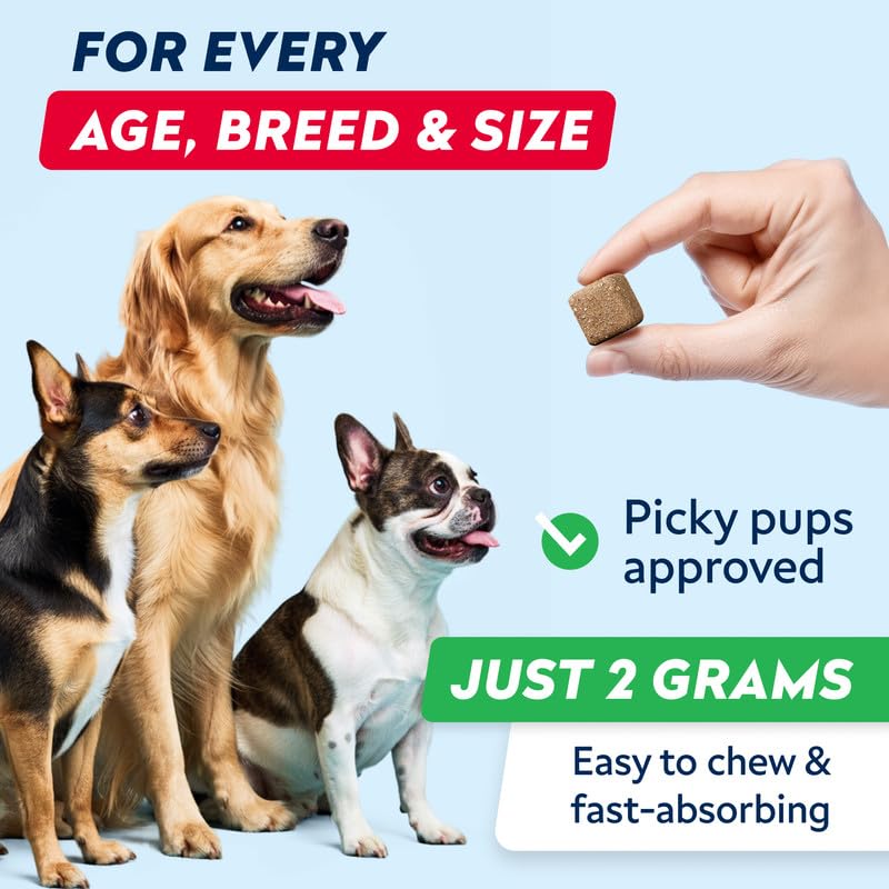 STRELLALAB Dog Pee Grass Chews - Urine Neutralizer for Green Grass Burn Spots - Grass Treatment for Pet Urine - Green Lawn Chews for Dogs with Probiotics - Made in USA (120Ct) 120Ct (BBQ)