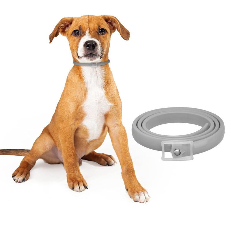 DEWEL 63.5 cm tick collar for dogs and cats, flea tick collar, flea and tick prevention collars, adjustable waterproof dog flea collar - BeesActive Australia