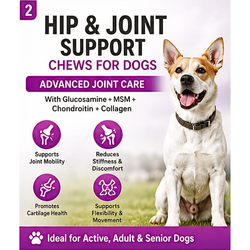 Hip & Joint Dog Chews – 6.3 oz (60 Soft Chews), Natural Beef Flavor, Glucosamine Chondroitin MSM, Collagen & Green Lipped Mussel for Joint Support, Mobility & Stiffness Relief