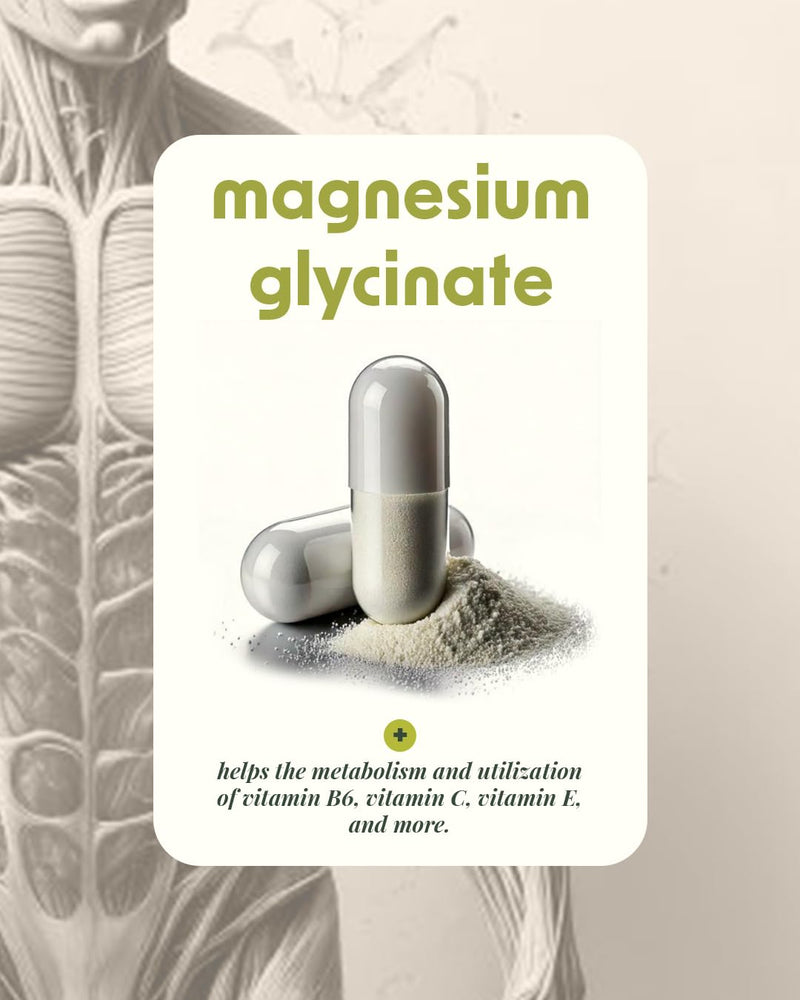 Magnesium Glycinate 400mg – High Absorption Magnesium Supplement for Sleep, Stress Relief, Muscle & Heart Health – Non-GMO, Gluten Free – 120 Tablets (2 Month Supply) – Alpha & Omega Nutrition