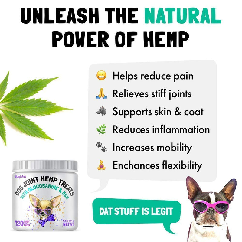 LEGITPET Liquid Glucosamine for Dogs and Hemp Hip & Joint Supplement for Dogs and Dog Paw Balm Wax Soother & Moisturizer Cream Bundle