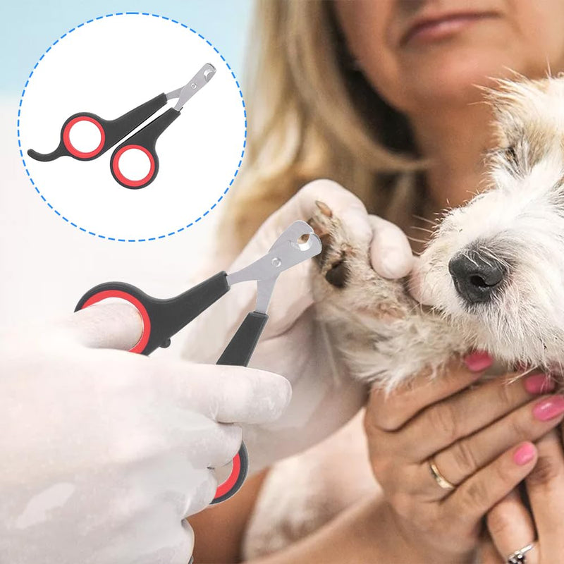 Parrot nail clippers, cat nail clippers, pet professional claw scissors, pet small animals, claw cutters, cat nail clippers, cat nail cutters, guinea pigs, birds, puppies, kittens, gerbils, rabbits - BeesActive Australia
