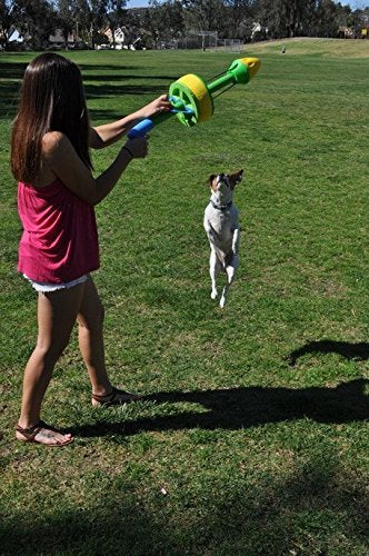Replacement Dog Exerciser Rings for 100-ft. Flying Ring Launcher | Replacement Rings Only (Launcher Not Included) | Set of 6 - BeesActive Australia