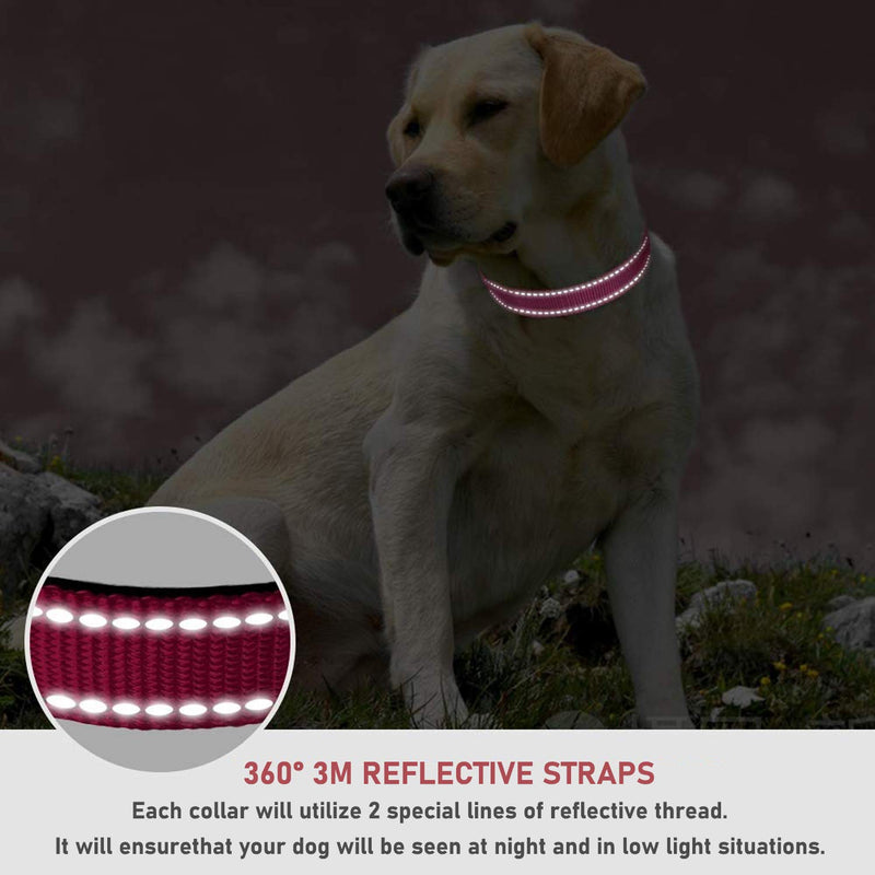 Reflective Dog Collar with Buckle Adjustable Safety Nylon Collars for Small Medium Large Dogs, Pink S Hotpink Small :Width 5/8",Neck 10-14" - BeesActive Australia