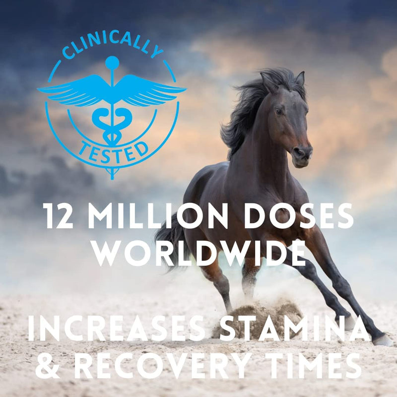 Premium Daily Supplement for Horses | Organic Advanced Bio-Nano Technology to Support Digestive Health | Improves Stamina | Immunity and Joint Support | 30 Day Supply | 5 oz - BeesActive Australia