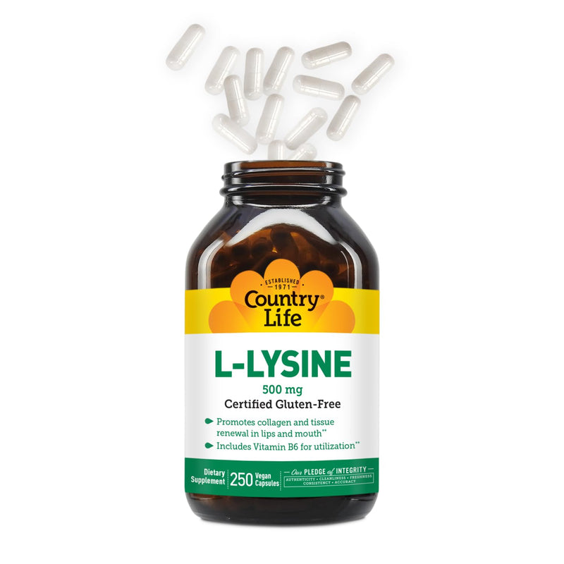Country Life L-Lysine 500mg with B-6, Supports Immune Health, Promotes Collagen Renewal in Lips and Mouth, 250 Vegan Capsules, Certified Gluten Free, Certified Vegan 250 Count (Pack of 1)