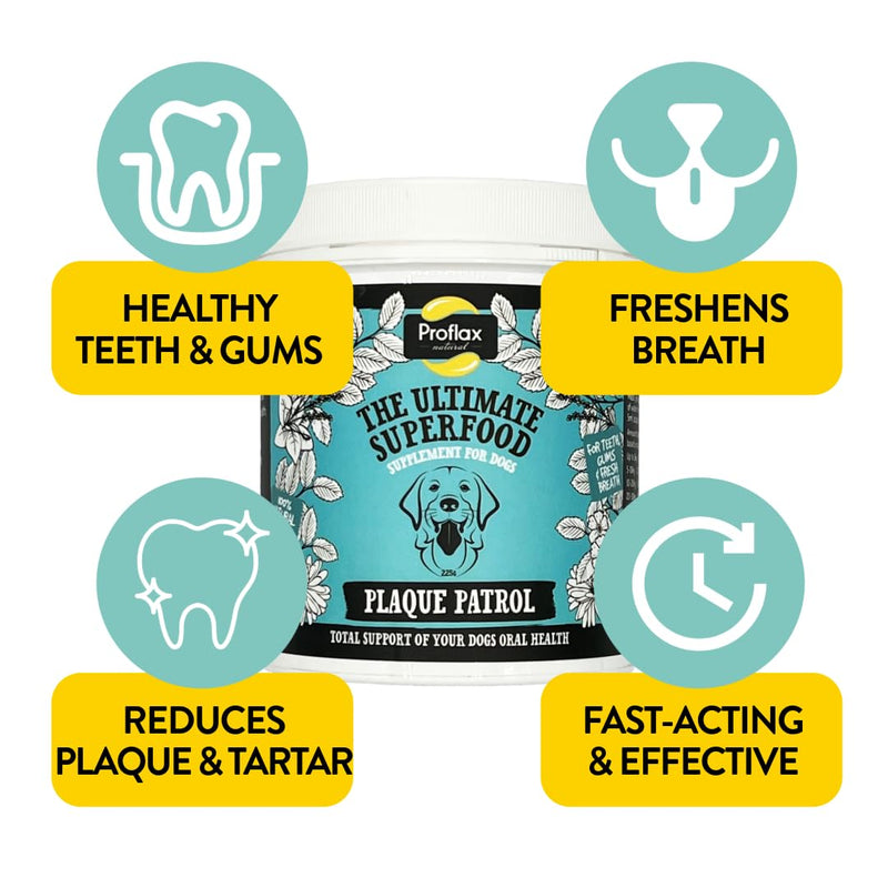 Proflax Plaque Patrol Dental Care for Dogs – Plaque & Tartar Control with Fresh Breath Support - 125g 100ml
