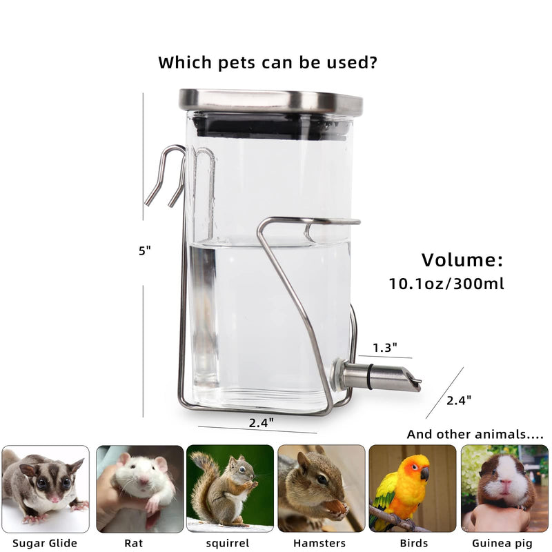Guinea Pig Water Bottle No Drip, Rabbit Glass Waterer, Chinchilla Stainless Steel Nozzle Anti-Bite Water Dispenser for Small Animal, Bunny, Hamster, Sugar Glider and Rat(20.2oz) 20.2oz - BeesActive Australia
