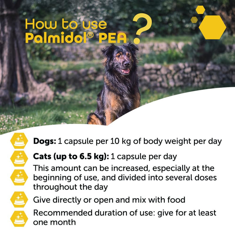 Palmidol® PEA for Dogs and Cats – 30 Sprinkle Capsules | Ideal for Senior Pets & Wellness Support