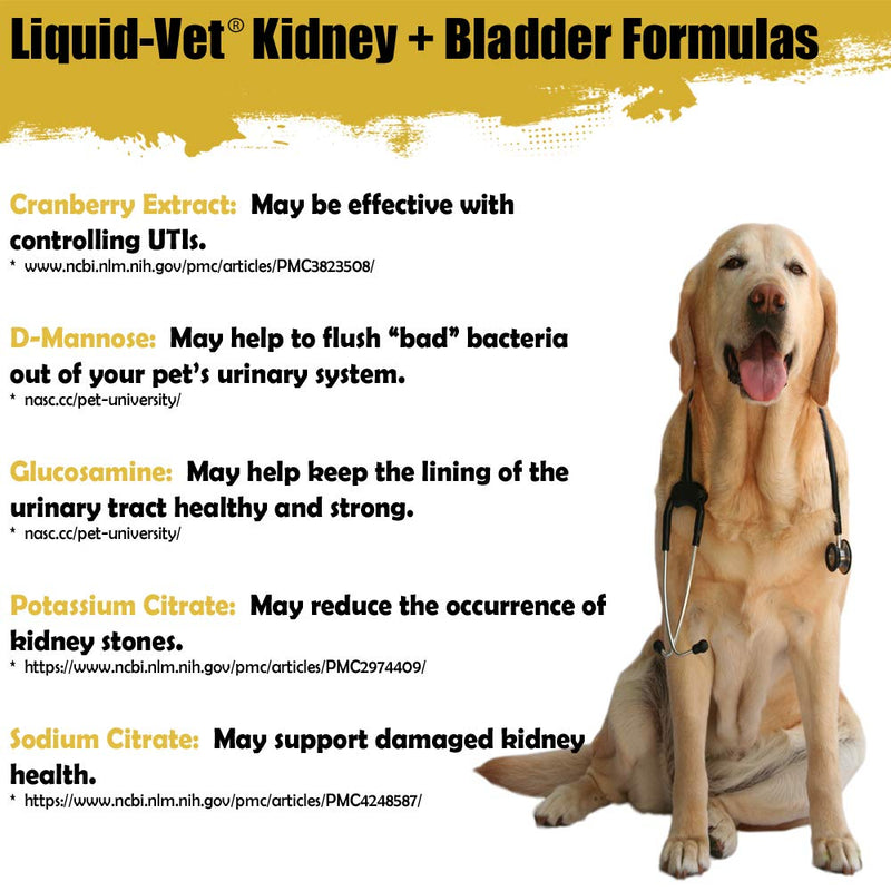 Feline Kidney & Bladder Advanced Formula, Seafood Flavor, 8 oz - BeesActive Australia