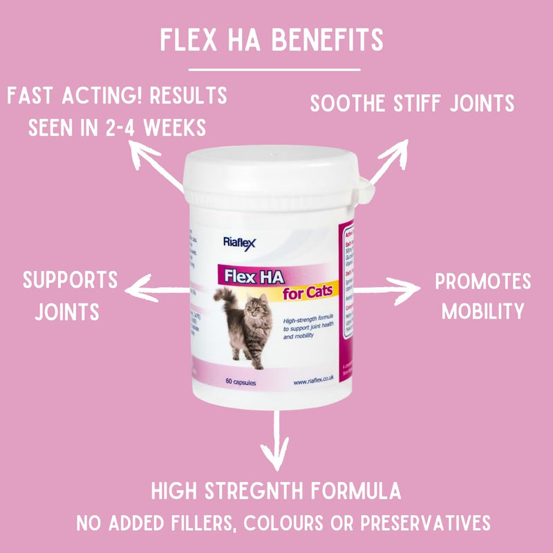 Flex HA for Cats | Max Strength combination of Glucosamine, MSM, Green Lipped Mussel & Hyaluronic Acid, with added antioxidants designed to soothe stiff joints, aid mobility - 60 capsules