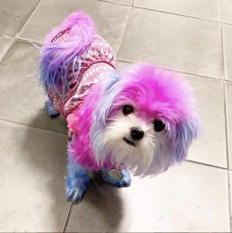 Critter Color Temporary Pet Fur Coloring- Warren London- Easy To Use- 7 Colors- Made in USA- Pink Alexa's Pink Kiss - PawsPlanet Australia