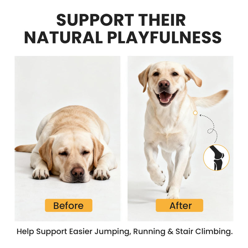 Dog Joint Supplement: with Glucosamine Chondroitin, MSM,Turmeric – Hip and Joint Support for Arthritis Pain Relief – Natural Anti-Inflammatory – for All Breeds & Senior Dogs, 180 Chews