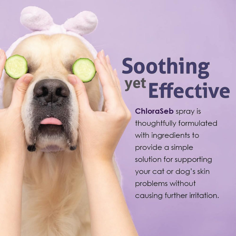 Skin and Coat Care Spray for Dogs and Cats - 8 fl oz, Easy-to-Use Solution for Maintaining Optimal Hygiene and Skin Health Spray (8 fl oz)