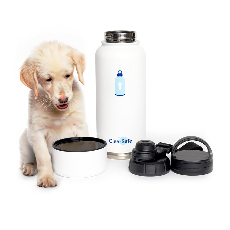 ClearSafe Insulated Stainless Steel Sports/Pet Water Bottle with Storage Compartment, 32 oz, White, 2 Lids, WB32White001 - BeesActive Australia