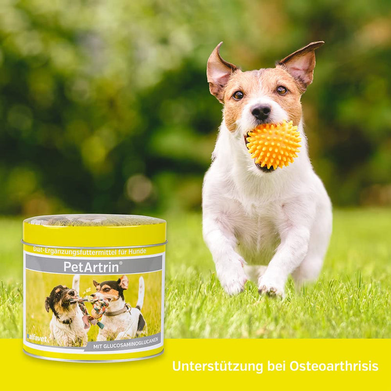 Alfavet PetArtrin, supplementary food for dogs, supports joints, joint metabolism for osteoarthritis, powder, 200 g can 200GR - BeesActive Australia