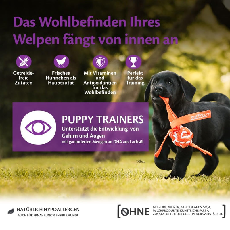 Wellness CORE Puppy Trainers, chicken & carrots, 170 g, puppy treats, no added sugar, grain-free, with a high meat content, perfect for training treats 170 g (pack of 1) - BeesActive Australia
