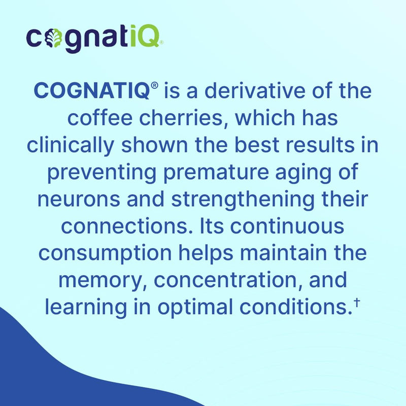 Santo Remedio Memoria, Brain Health Booster, Helps Strengthen Neural Connections, Helps Improve Attention, Memory, and Concentration, 30 Servings, Gluten Free, Non-GMO - BeesActive Australia