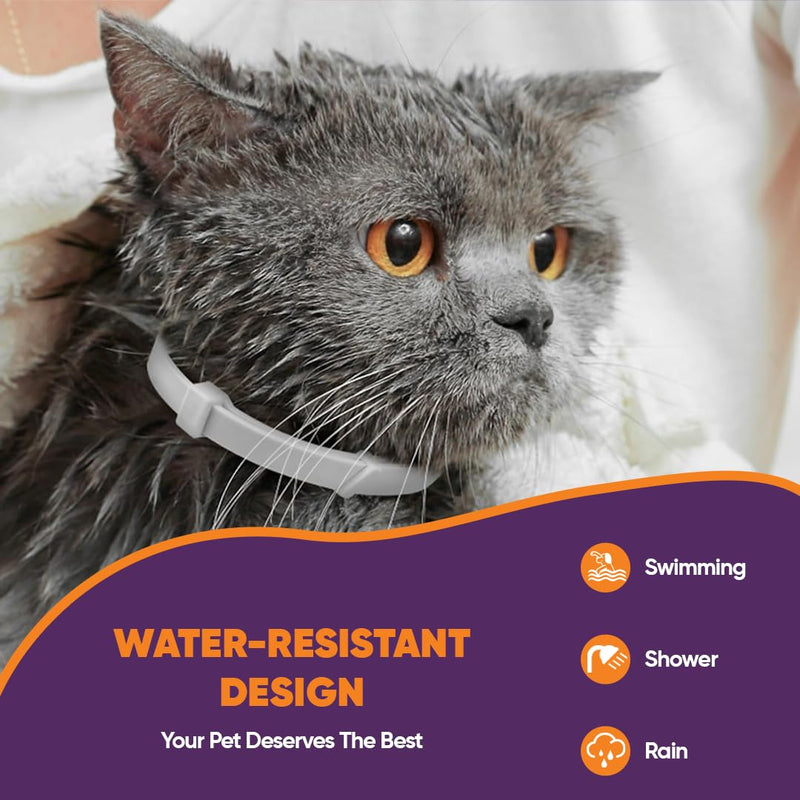 Calming Collars for Cats with Pheromones, Anxiety and Stress Relief 6 Pack Adjustable and Waterproof. Drug Free Solution Helps Reduce Spraying,Aggression and Nervous Behavior