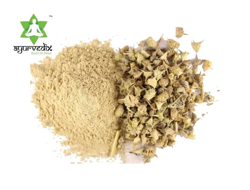 Organic Gokhru/Gokhsura Powder, Tribulus Terrestris Powder Herbal Supplement for Urinary Support and Flow, Non-GMO | Gluten Free - 200gm/7.05oz 7.05 Ounce (Pack of 1) - BeesActive Australia