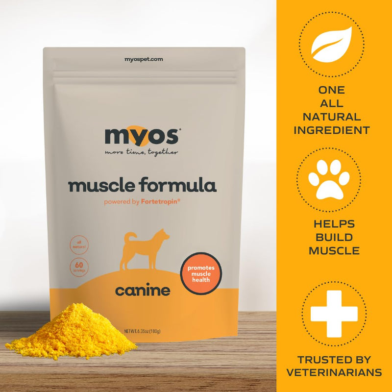 MYOS Canine Muscle Formula - All-Natural Muscle Building Supplement - Helps Reduce Muscle Loss in Aging Dogs and Improve Recovery from Injury or Surgery 6.35oz