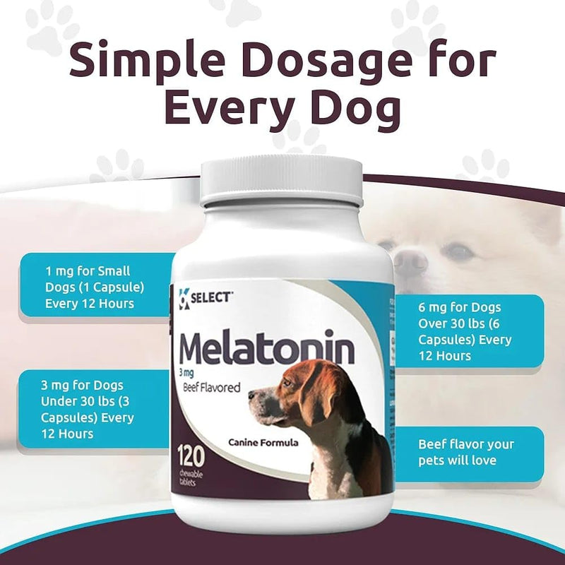Prime Melatonin for Dogs - Composure Dog Calming Chews - 3 mg, 120 Beef Flavored Chewable Tablets - Reduce Stress and Sleep Aid for Dogs