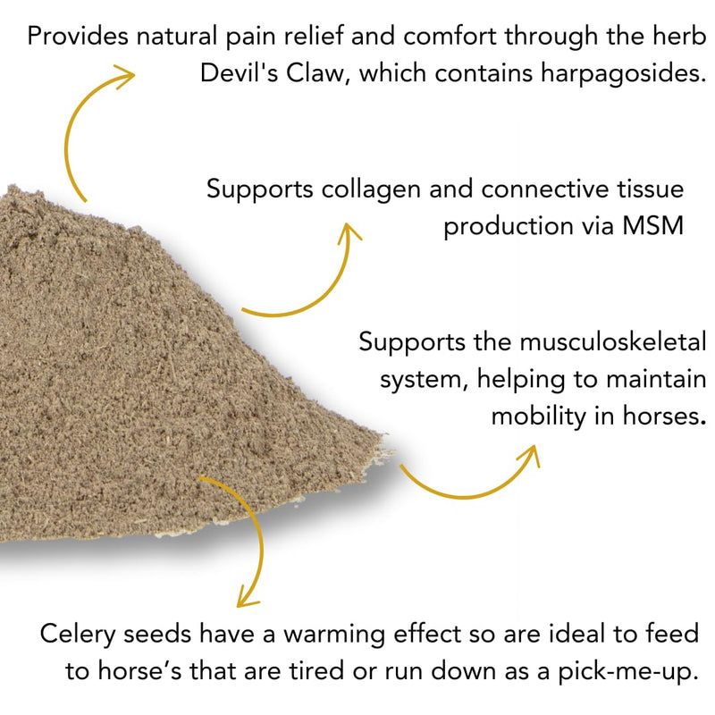 Zerobute™ | Horse Joint Supplement for Soothing Comfort for Worn Joints and Muscles | 29 Days Supply | 1.0kg | 100% British Made