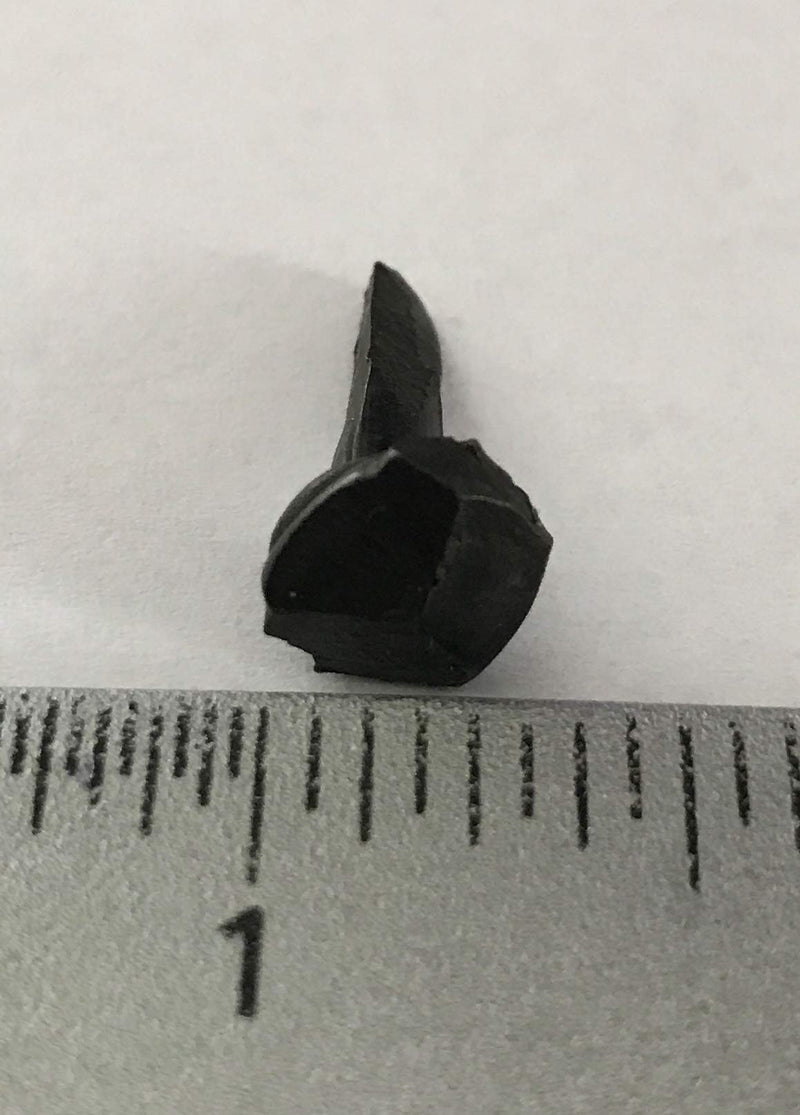 (50) 5/8" Steel Decorative Wrought Head Nails with Black Oxide Finish. (Small, Black) - BeesActive Australia