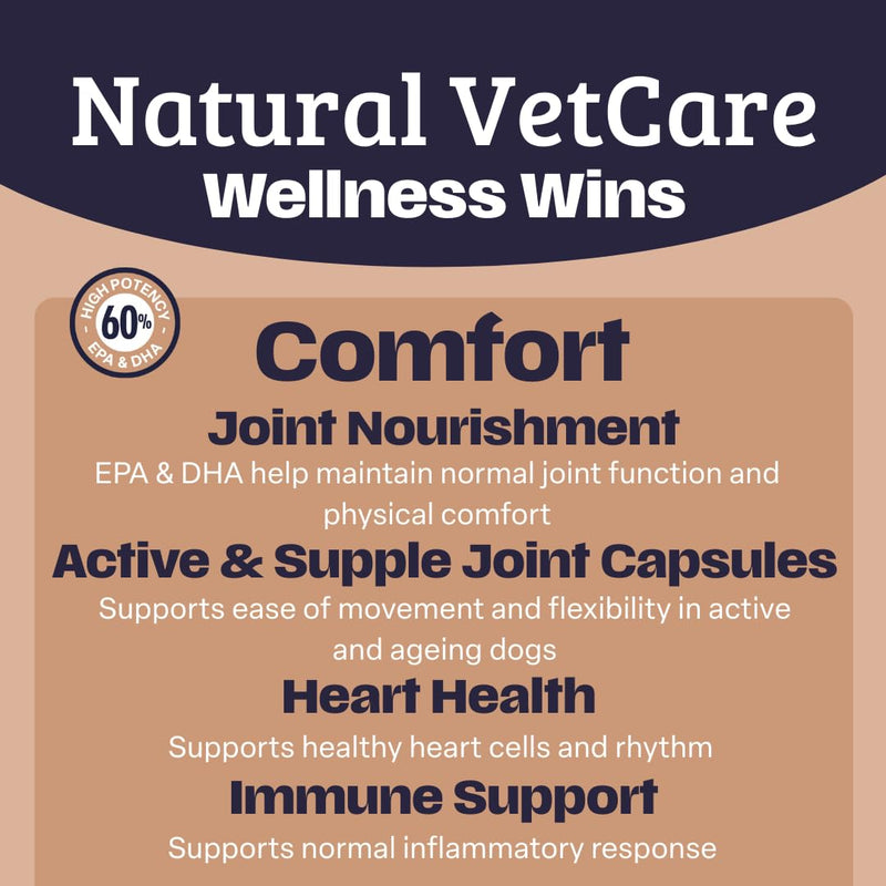 Natural VetCare COMFORT 100ml – Dog Joint Supplement for Mobility & Flexibility, Orthopaedic Support Liquid, Hip & Joint Care for Senior & Active Dogs, Daily Wellbeing Formula