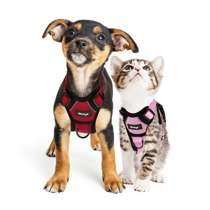Cat Harness with Leash Escape-Proof Cat Leash Set Adjustable Soft Kitten Vest with Reflective Strips Chest Harness for Small Kittens (Red, XS) Red - BeesActive Australia