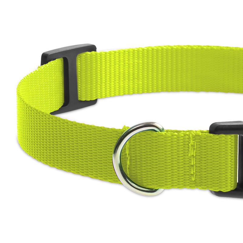 E Collar Replacement Strap, 3/4 Inch Stylish & Comfortable Christmas Dog Collar with Sturdy Buckle,PetSafe Bousnic Sportdog Garmin Replacement Collar for Small Medium Large Dog Boy Girl(2 Pack) - BeesActive Australia