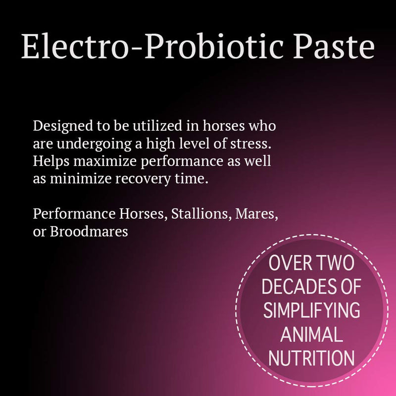 Electro-Probiotic Paste, Quick and Easy Source of Electrolytes and Probiotics for Stressed Horses (30 Grams) - BeesActive Australia