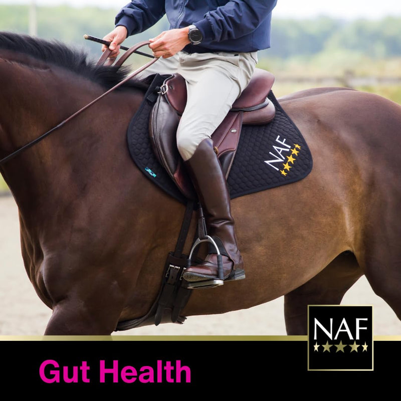 NAF Biotics 300g – Digestive Support Supplement for Horses – With Live Yeast & Prebiotics – Aids Gut Health, Nutrient Absorption & Digestive Balance – Ideal After Stress or Antibiotics 0.3 g (Pack of 1)
