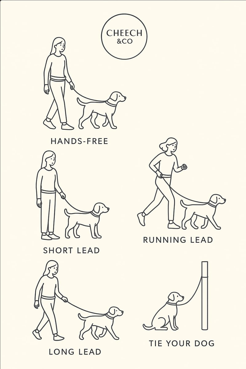 Cheech&Co Hands Free Dog Leash with Poop Bag Holder - for Walking, Hiking, Jogging & Running Small/Medium/Large Dogs (Adjustable 4.3–8.6 ft Light Purple) - BeesActive Australia