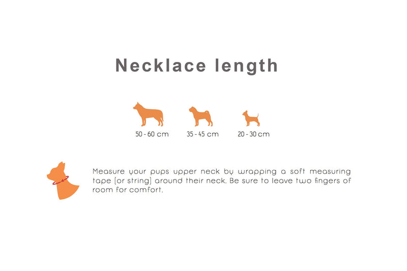 amber-us Amber necklace for dogs made of raw Baltic amber decorated with red coral | Tick collar | Amber against ticks | Tick and flea protection collar (55-60 cm) - BeesActive Australia