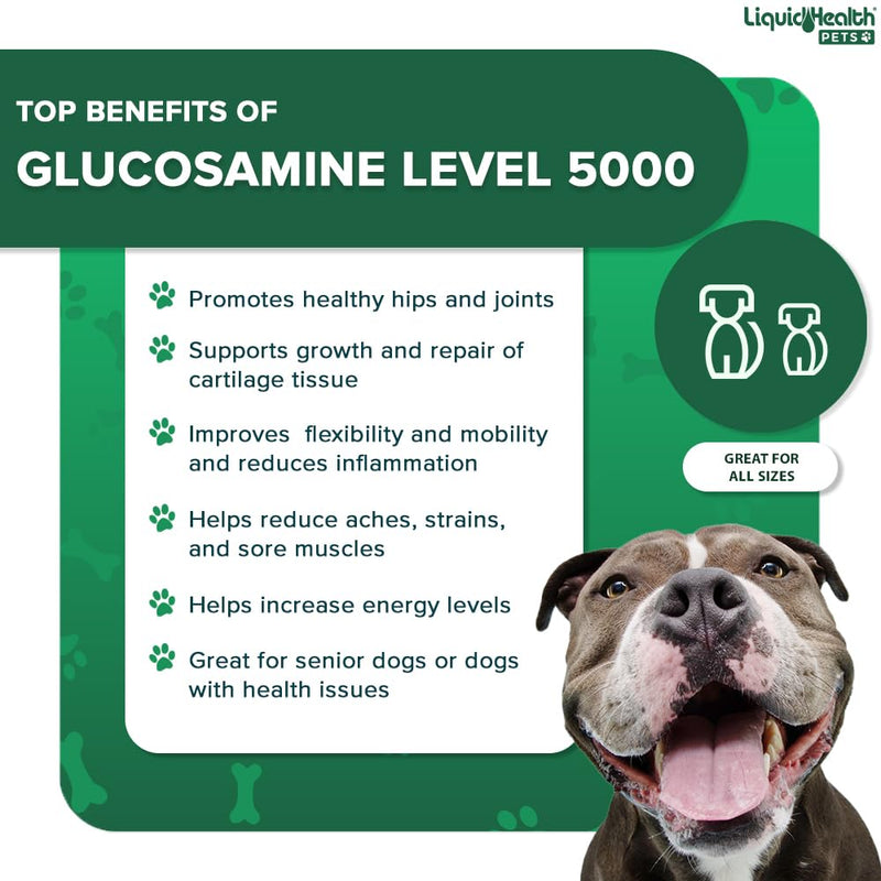 LIQUIDHEALTH Pets K9 Level 5000 Glucosamine Chondroitin Hip & Joint Formula & K9 Complete 8-in-1 Multivitamin for Dogs & Puppies - Pet Supplement Bundle for Joint Health, Mobility, Immune Support - PawsPlanet Australia