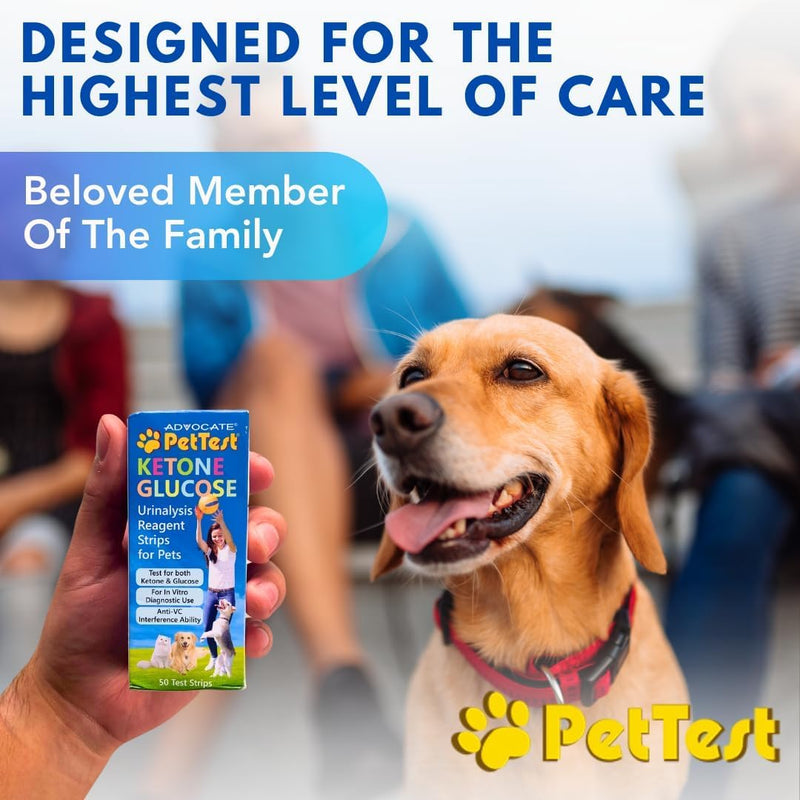 Pet Urine Test Strips Ketone Glucose Strips for Dogs and Cats Urinalysis (50 Strips) Monitoring and Avoid UTI by Advocate Pettest - BeesActive Australia