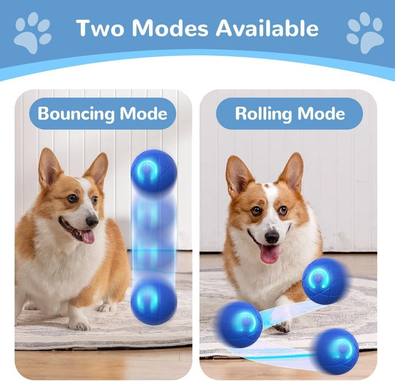 2025 New Shaky Ball Toy for Dogs, Upgrade Interactive Dog Ball, Pet Bounce Ball, Vibrating Dog Ball, Automatic Moving Dog Toy Ball, USB Rechargeable Shaking Pet Ball for Small Dogs - BeesActive Australia