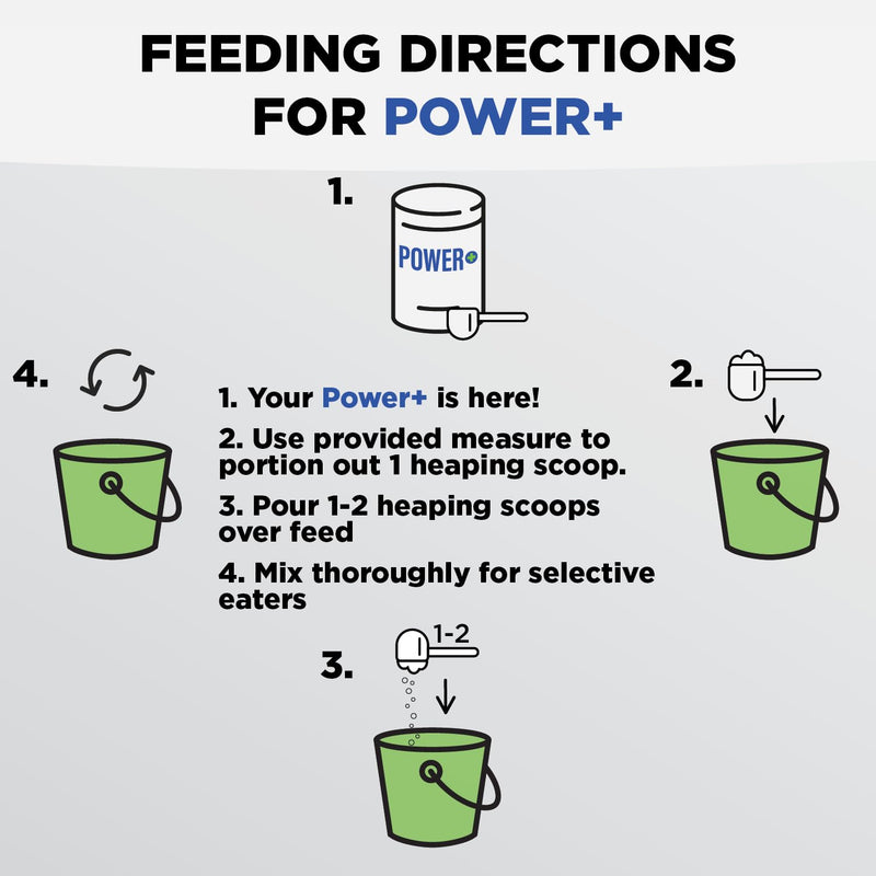 Power+ Horse Supplement (620g/1.36lbs - 100 Servings) - 9 Equine Amino Acids Plus Probiotics for Horses - No Added Sugar, No Soy, No Fillers - Horse Joint Support Supplement - BeesActive Australia