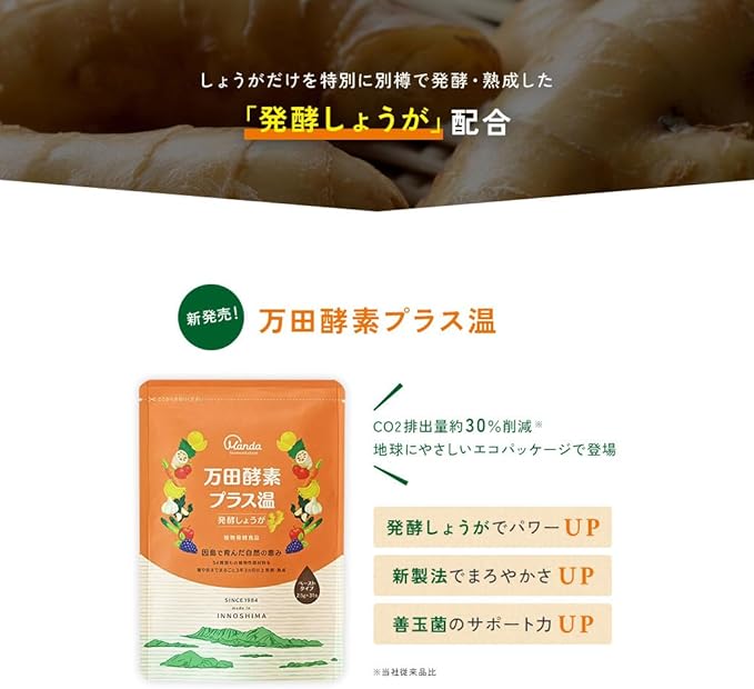 [Official] Manda Koso Plus Temperature Fermented Ginger (Sachets/Paste/About 1 Month's Supply) Manda Koso Fermented Foods Fermented Ginger Ginger - BeesActive Australia
