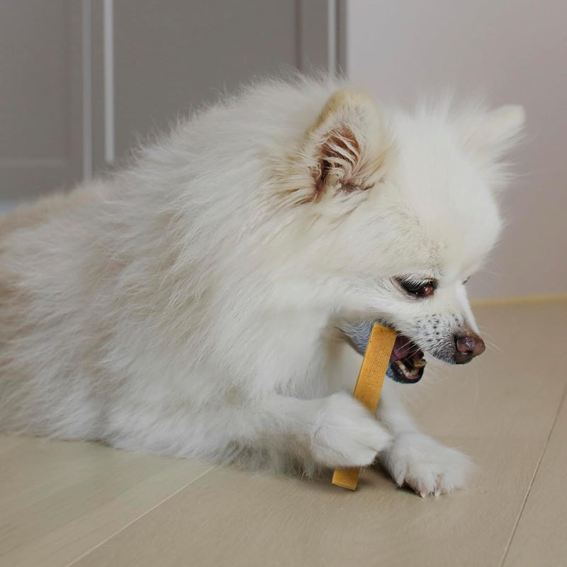 Wildfang® Yak Chews, Medium for Dogs 33-55 lbs – Dog Dental Chew Stick, Hardness Like Himalayan Yak Cheese, Churpi-Style Cheese Sticks, Dog Treats & Puppy Training Treats, Approx 3 oz, Pack of 6 3 Ounce (Pack of 6)