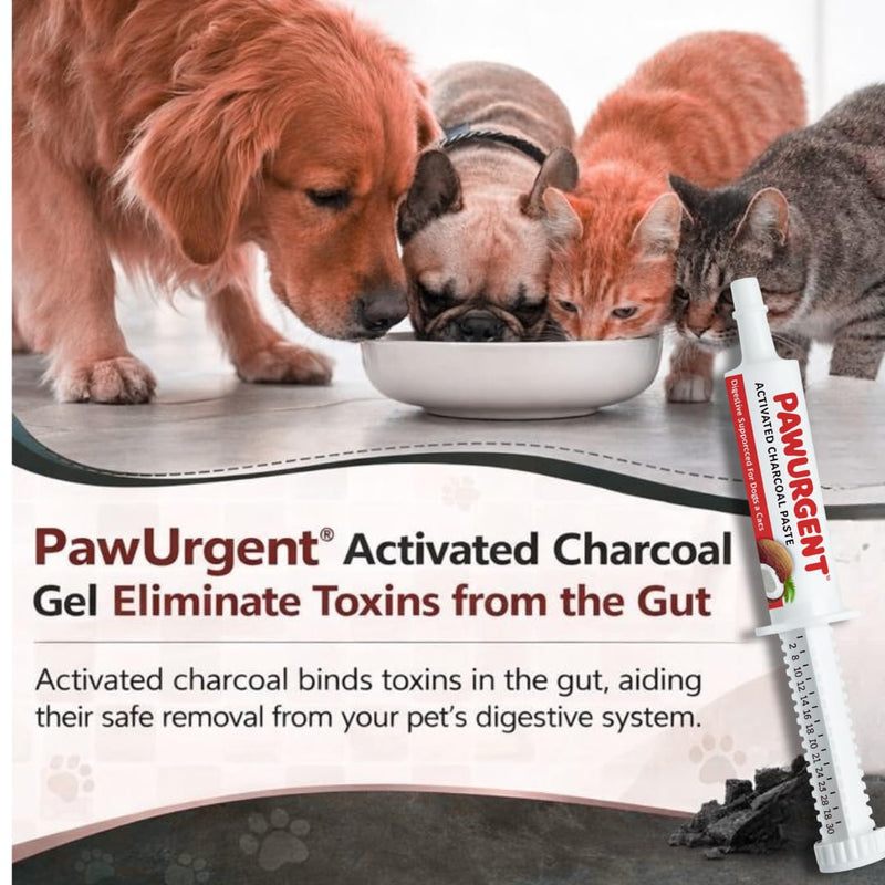 30 cc Activated Charcoal Gel for Dogs for Poisoning, Dog First Aid Activated Charcoal, Animal Use Only 1 pack
