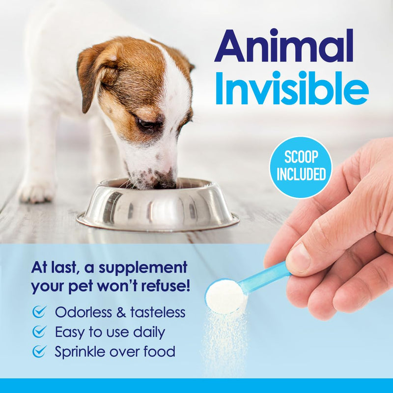 Advanced Glucosamine Powder for Dogs for Arthritis Pain Relief & Hip Dysplasia, Supports Joint Health & Reduces Inflammation with Glucosamine, Chondroitin, MSM & Coral Calcium, 6oz Powder - BeesActive Australia