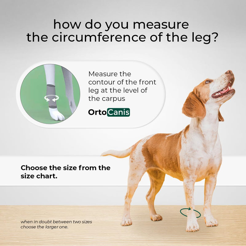 Ortocanis - Carpal Joint Brace for Dogs - Osteoarthritis, Ligament and Tendon Injuries or Agility Dogs - Made of Neoprene ARD - Size S 12-13 cm Size S (12-13 cm) - BeesActive Australia