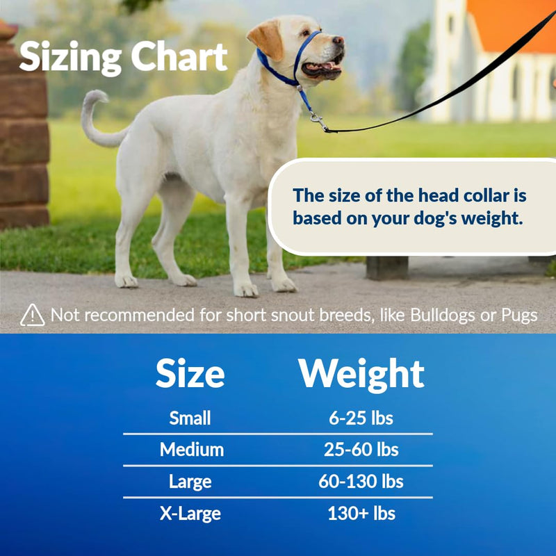 Headcollar for Dogs, Extra Soft Padded, Reflective, No Pull Dog Collar, Gentle Leader for Dogs with Durable Nylon Leash, Padded Handle - Navy Blue (X-Large) X-Large - BeesActive Australia