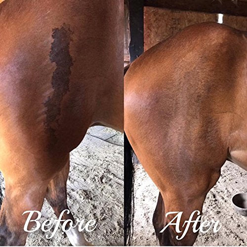 Horse Wound Lotion | Anti Bacterial/Anti Fungal | Healing, Soothing & Penetrating Formula | 8 oz Bottle - BeesActive Australia