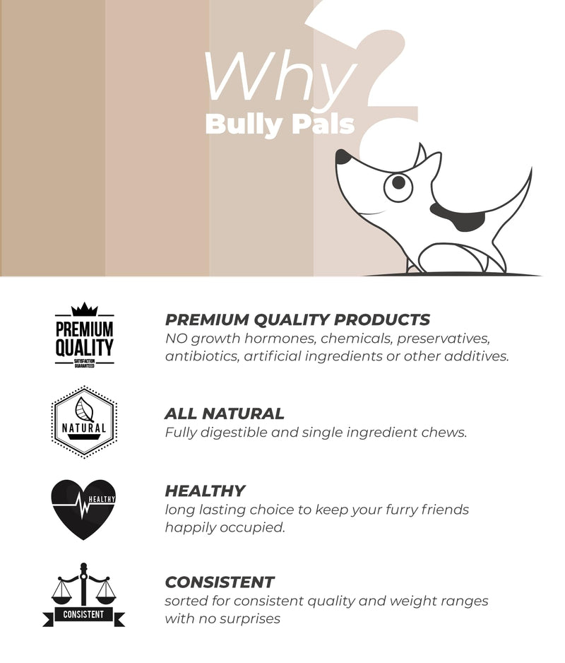 6 Inch Beef Collagen Sticks for Dogs (12 Pack) All Natural, Odor Free Collagen Chews - Rawhide Free Long Lasting Dental Collagen Bones for Small to Medium Dogs 0.88 Ounce (Pack of 12) Standard - 12 pack