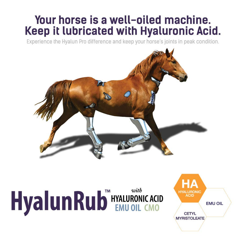 Hyalogic HA Joint Cream for Horses 6 oz Hyaluronic Acid Soothes Equine Joints and Muscles - HyalunRub - BeesActive Australia