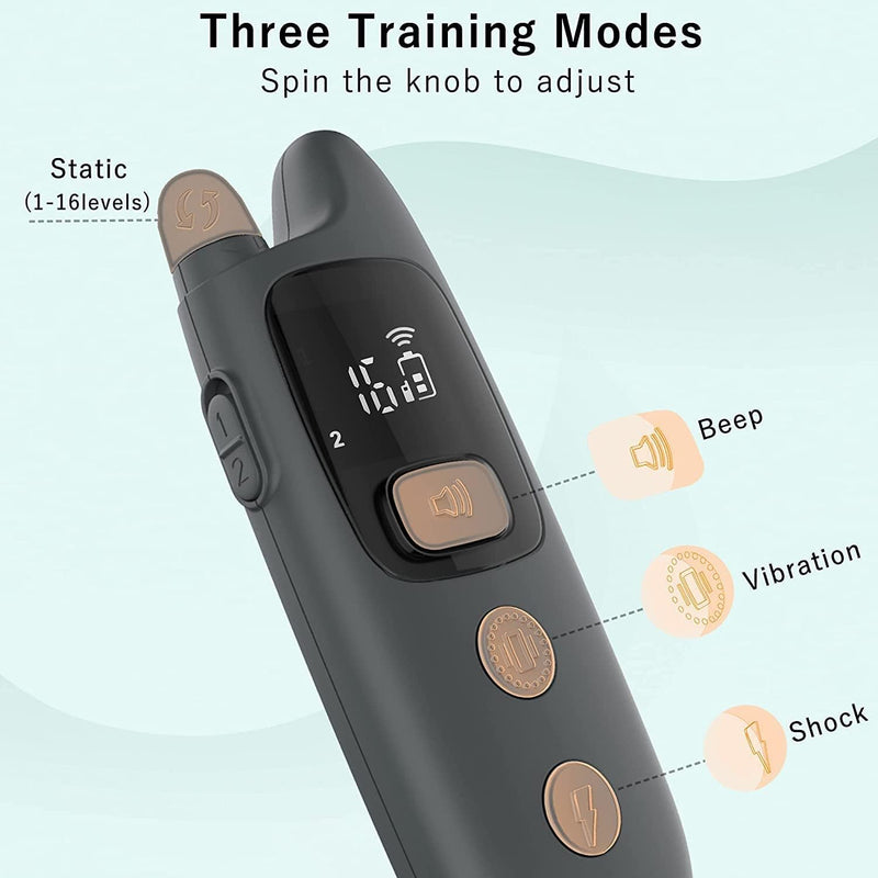 PATPET Dog Training Collar with Remote - Waterproof Dog Training Collar for 2 Dogs Small Medium Large Dogs with Beep, Vibration and 16 Levels Static - Grey - BeesActive Australia