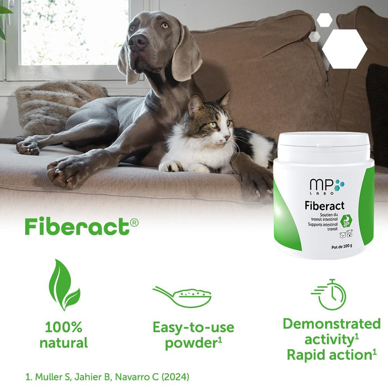 MP Labo Fiberact 100 g Jar - Supports Intestinal Transit for Dogs and Cats - Blond Psyllium Husk Powder